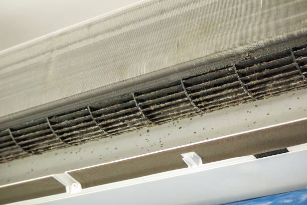 Best Best Air Duct Cleaning Company  in Lakewood Park, FL